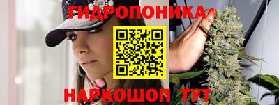 PSILOCYBIN Будённовск