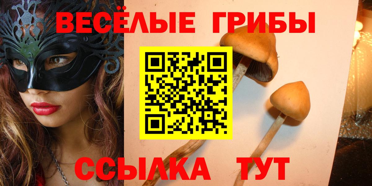 Галлюциногенные грибы MAGIC MUSHROOMS  Галлюциногенные грибы Cubensis  Вход с VPN  Сланцы 